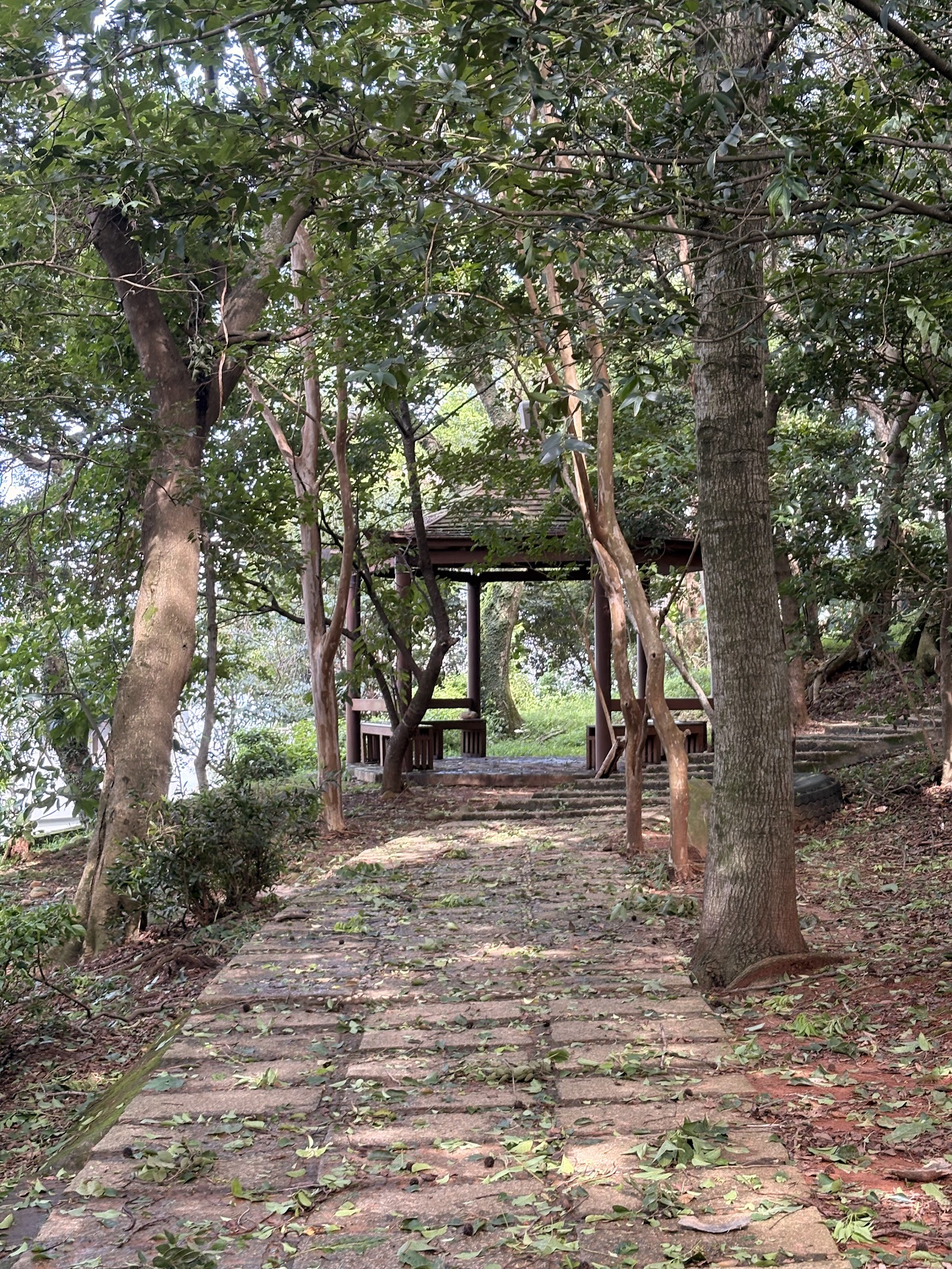 貴山客家文化公園林蔭步道通往涼亭