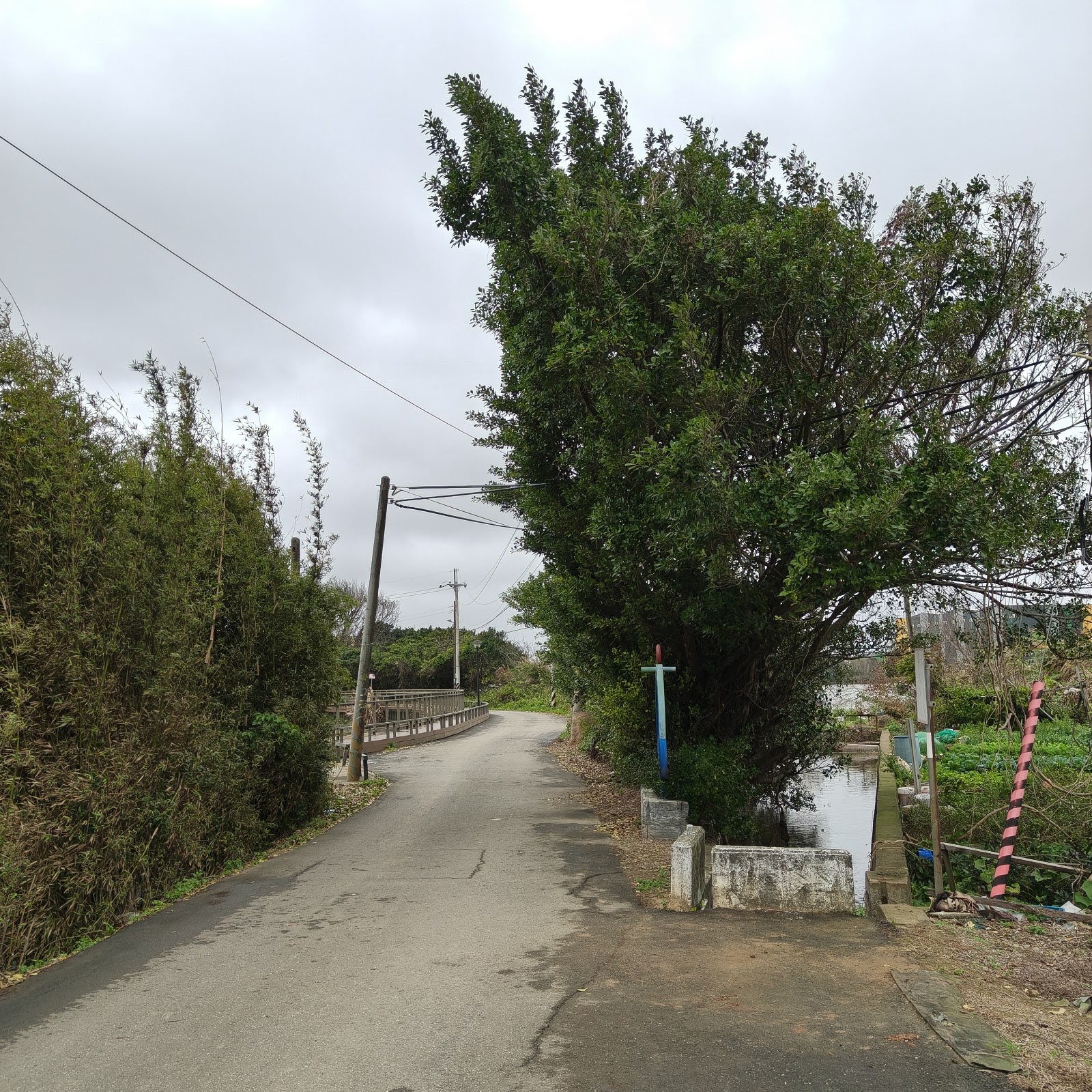 楊梅三連陂緊鄰支渠32A號池的歷史解說牌