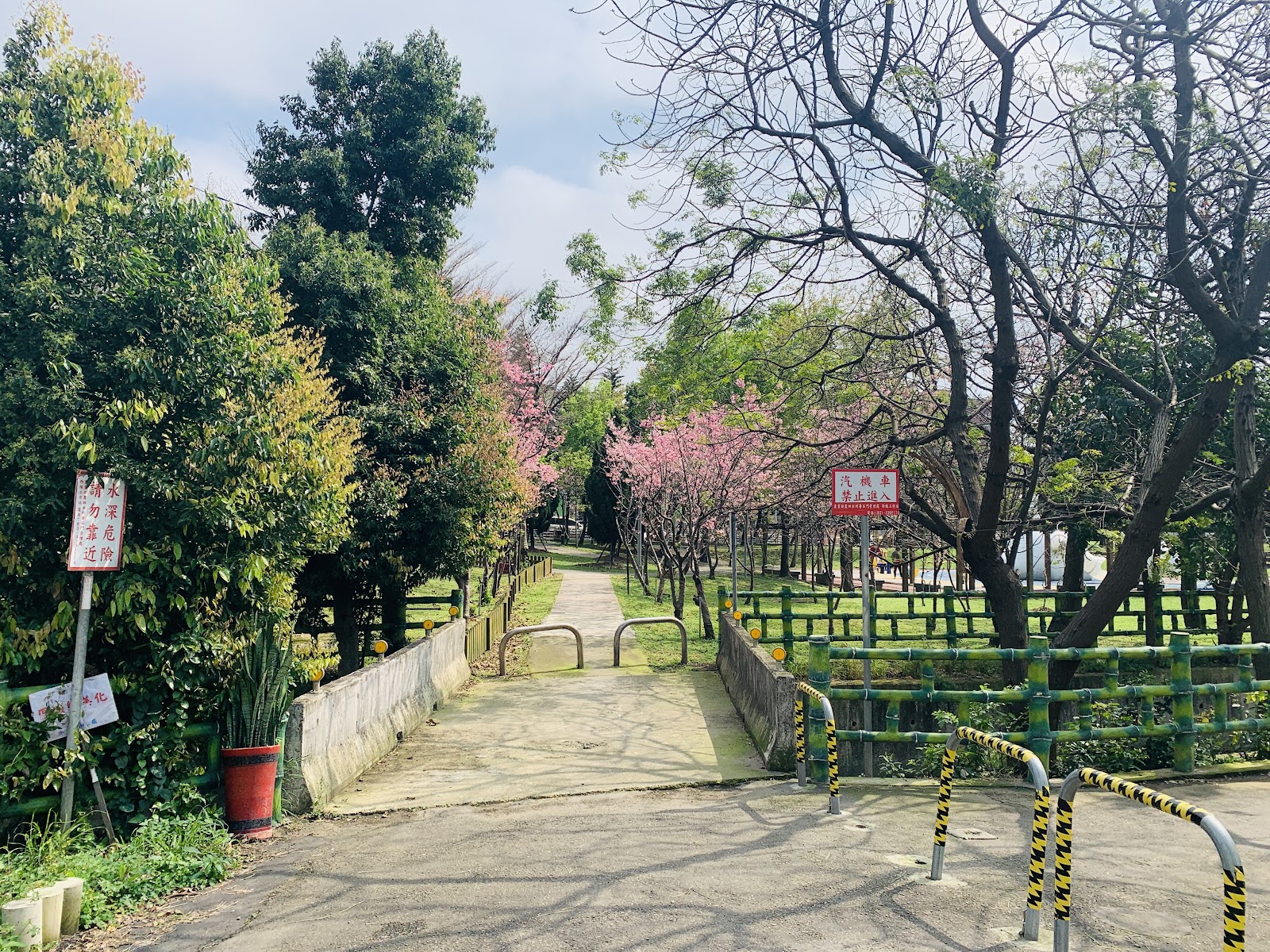 頭重溪公園櫻花步道