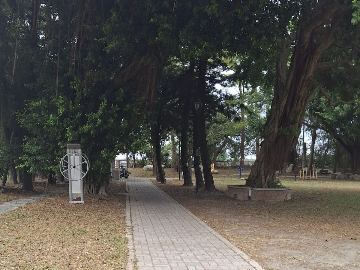 土庫長青公園-土庫長青公園老榕樹夾道的紅磚步道,枝葉茂密遮蔭
