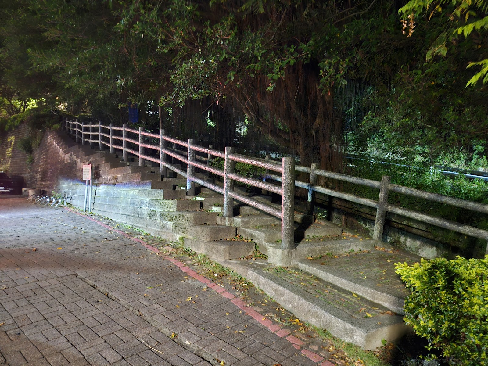 水碓觀景公園夜間石階步道,藤蔓老樹低垂,木製欄杆沿階而上