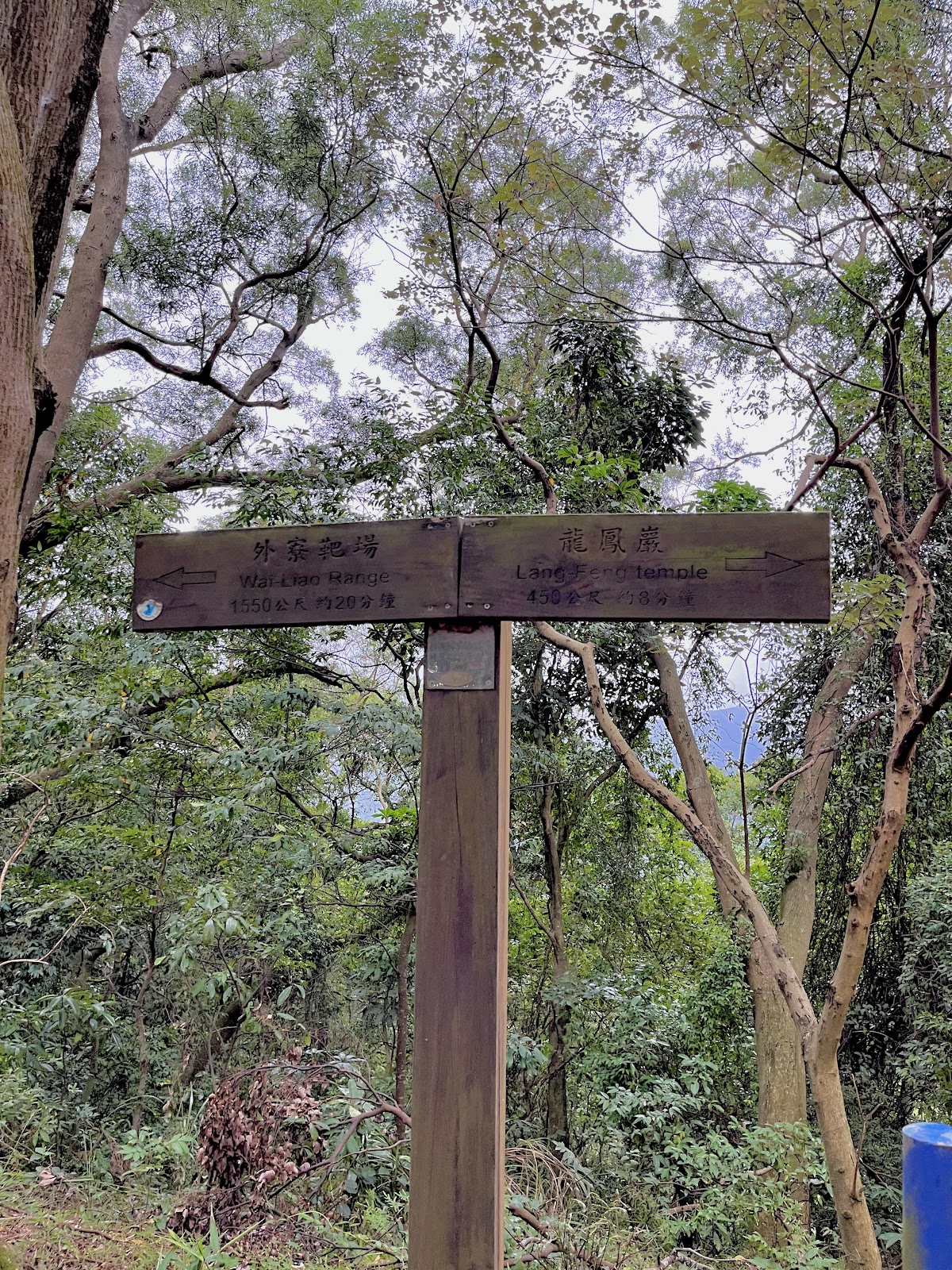 龍鳳巖登山步道木製指標牌，清楚標示方向，背後林蔭茂密
