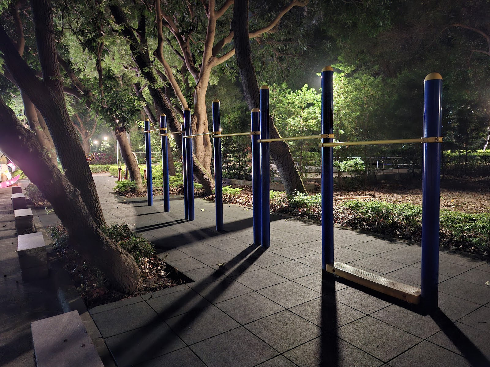 德音休閒廣場夜間單槓健身區，藍色單槓林立，林蔭燈光氣氛寧靜