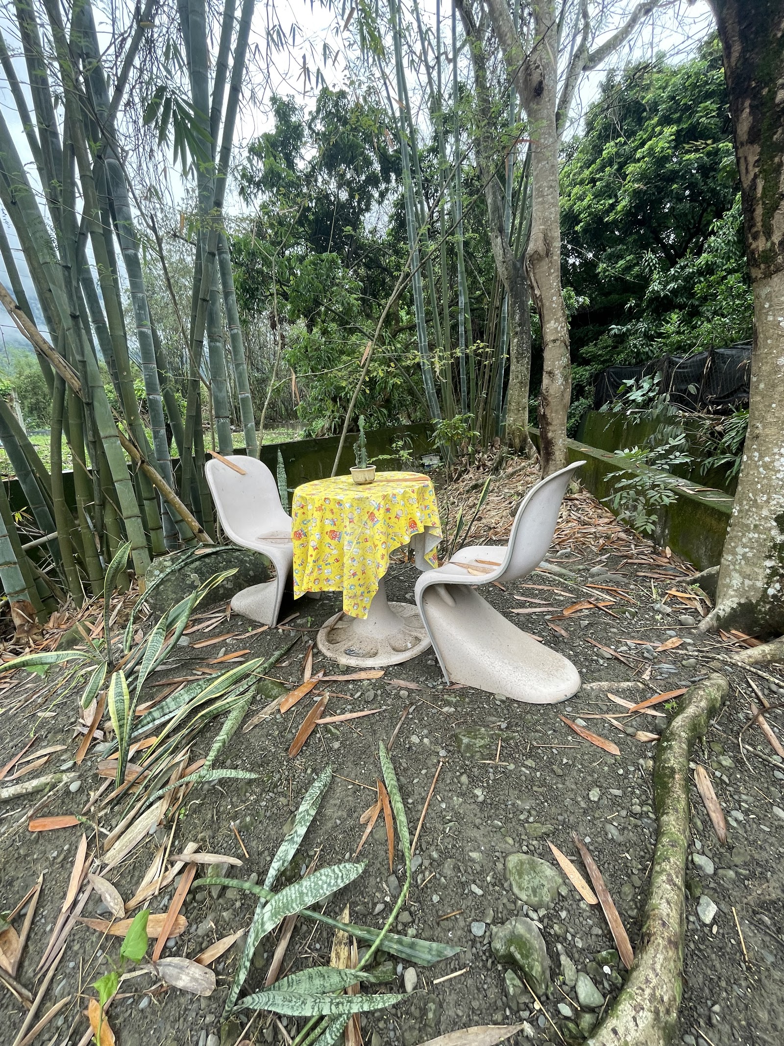 笑詼寮暗巷仔竹林間戶外復古座位區