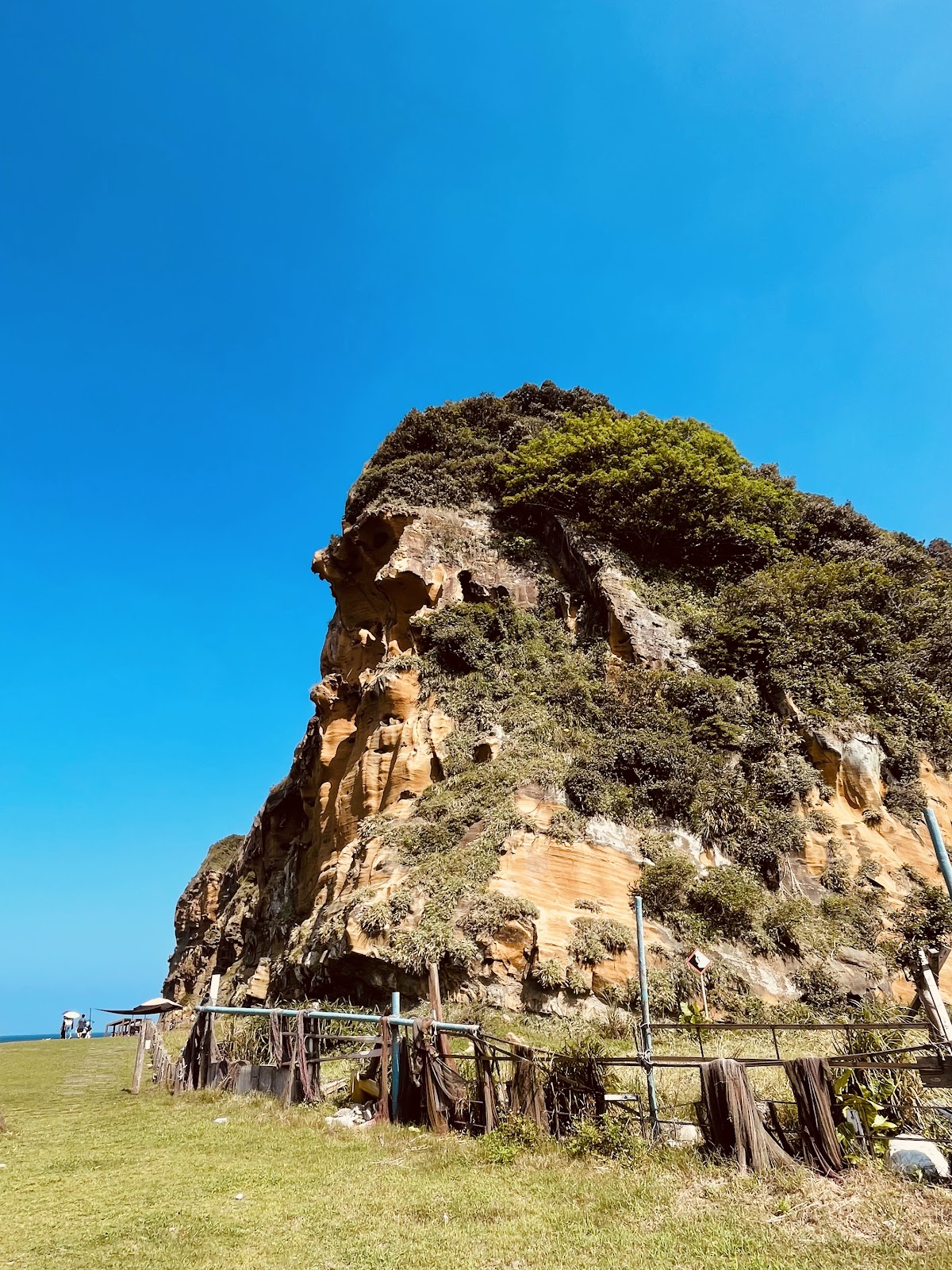 番仔澳酋長岩公園酋長岩岩壁紋理近拍
