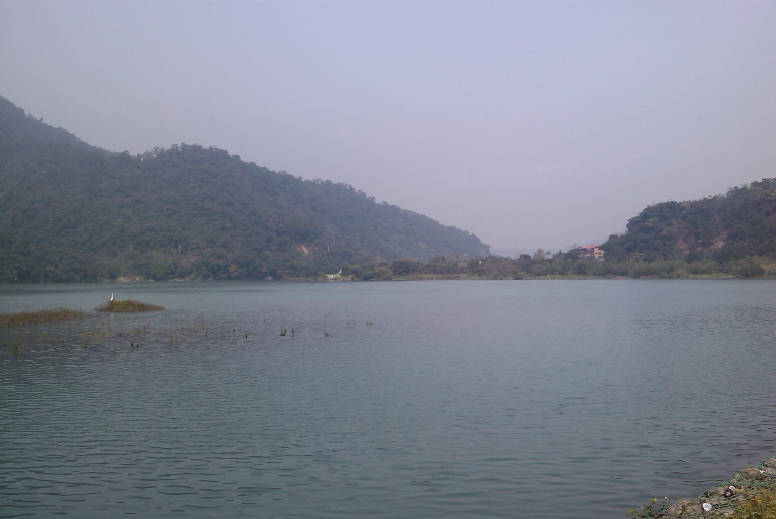 廣興河濱公園湖面白鷺鷥覓食,遠山與湖畔建築