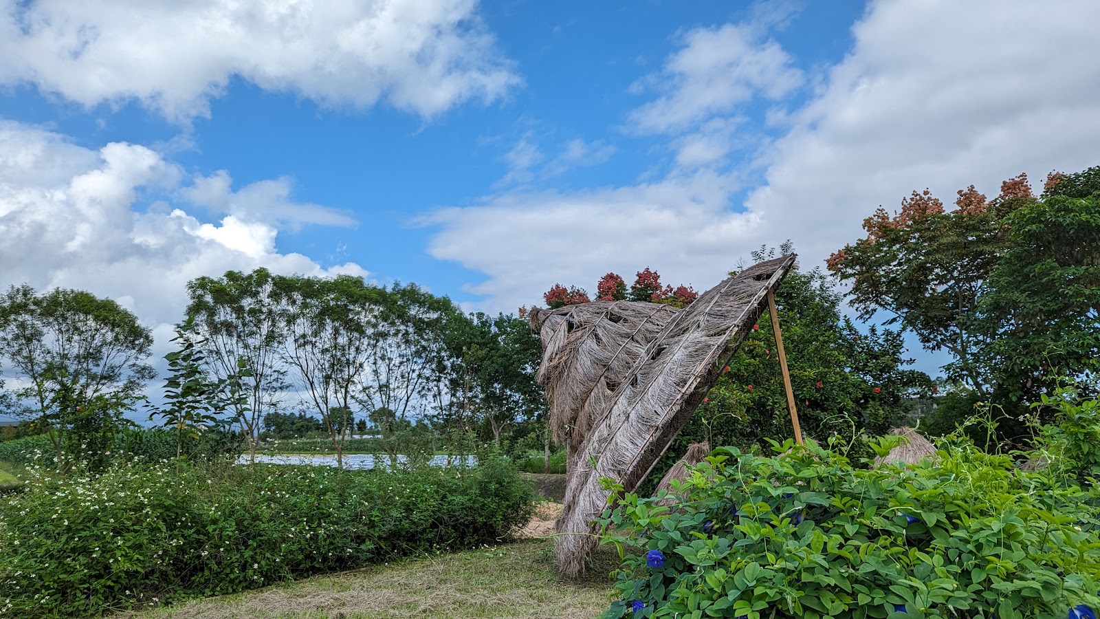 行健村大斗笠地景裝置藝術，稻草編織斗笠半傾斜立於花叢間