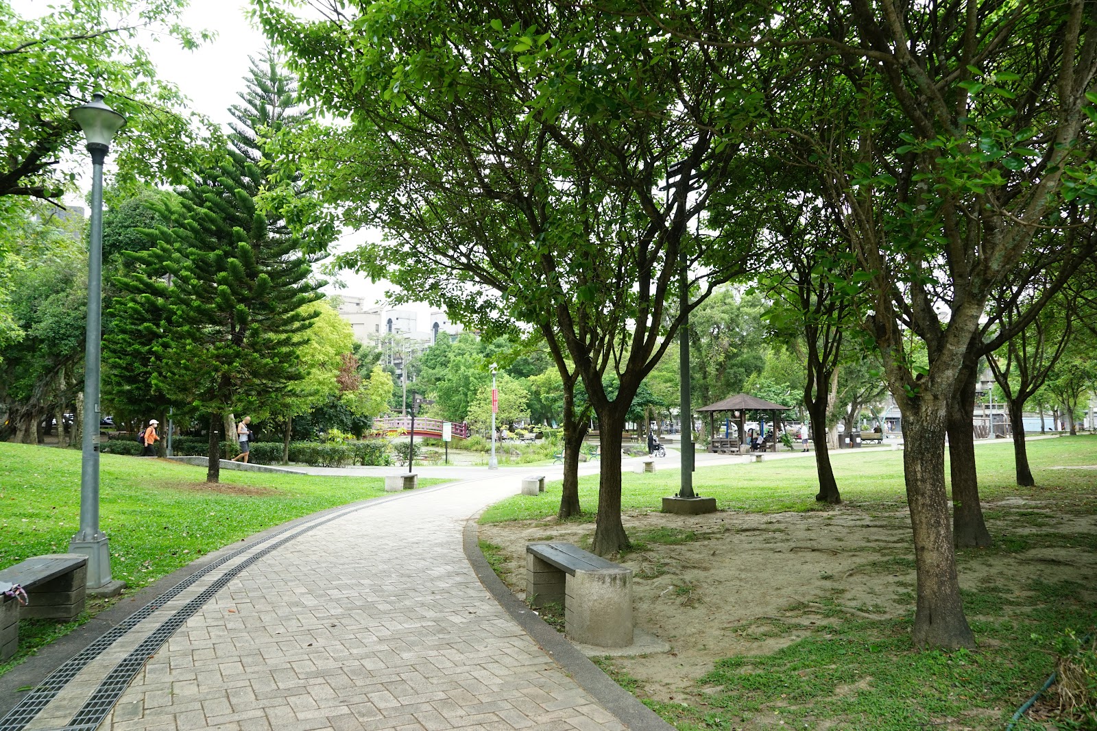 興隆公園林蔭步道與遠方小紅橋