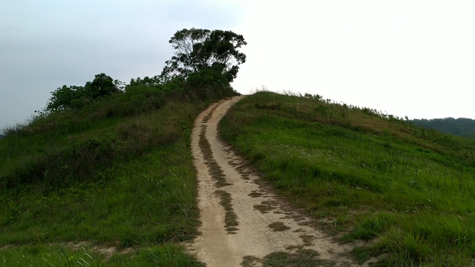 新化木架山草原土徑小路通往孤樹