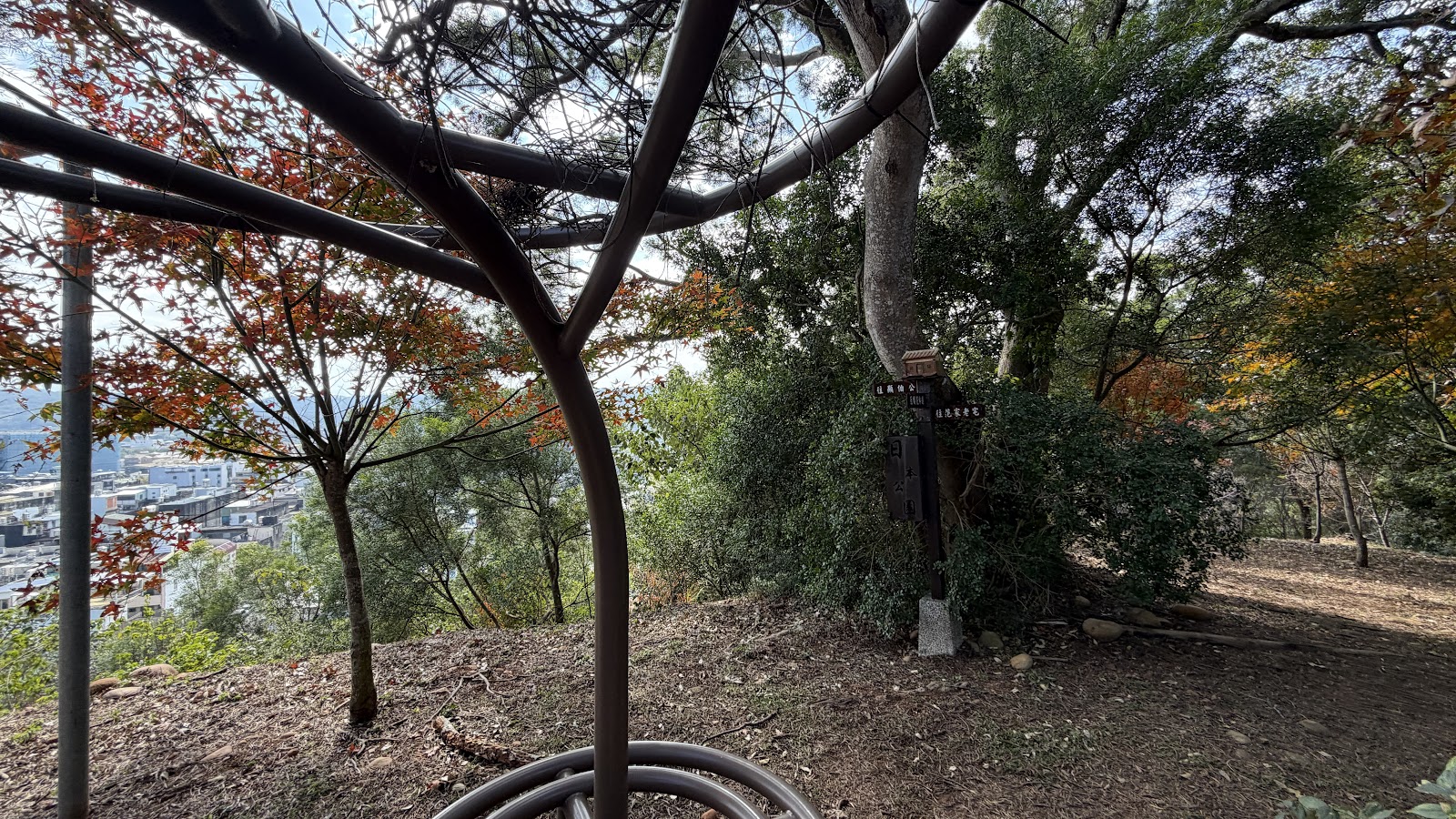 日本公園楓葉造景角落，秋意悄悄在新埔蔓延