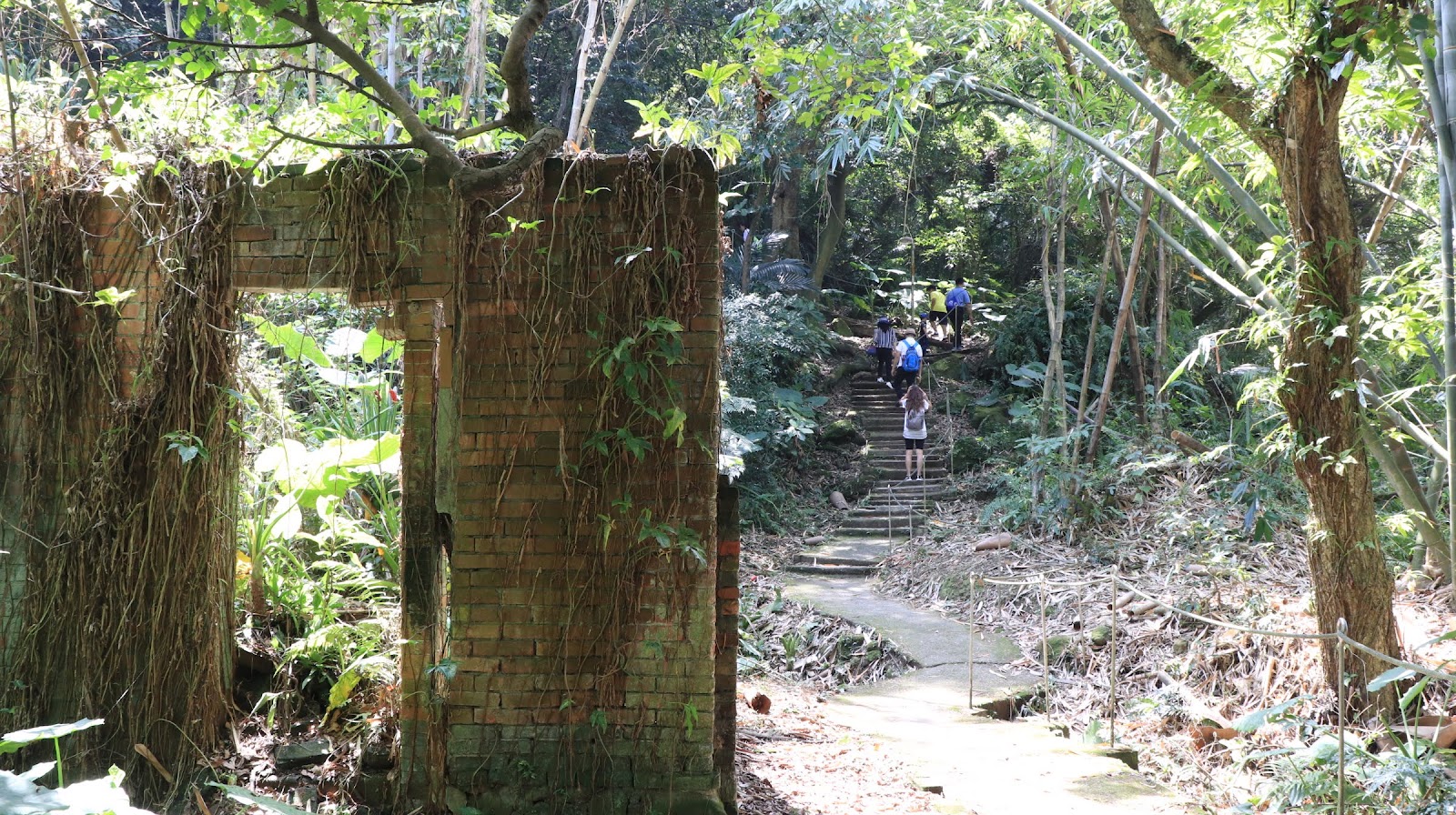 鶯歌孫龍步道林間古蹟遺跡