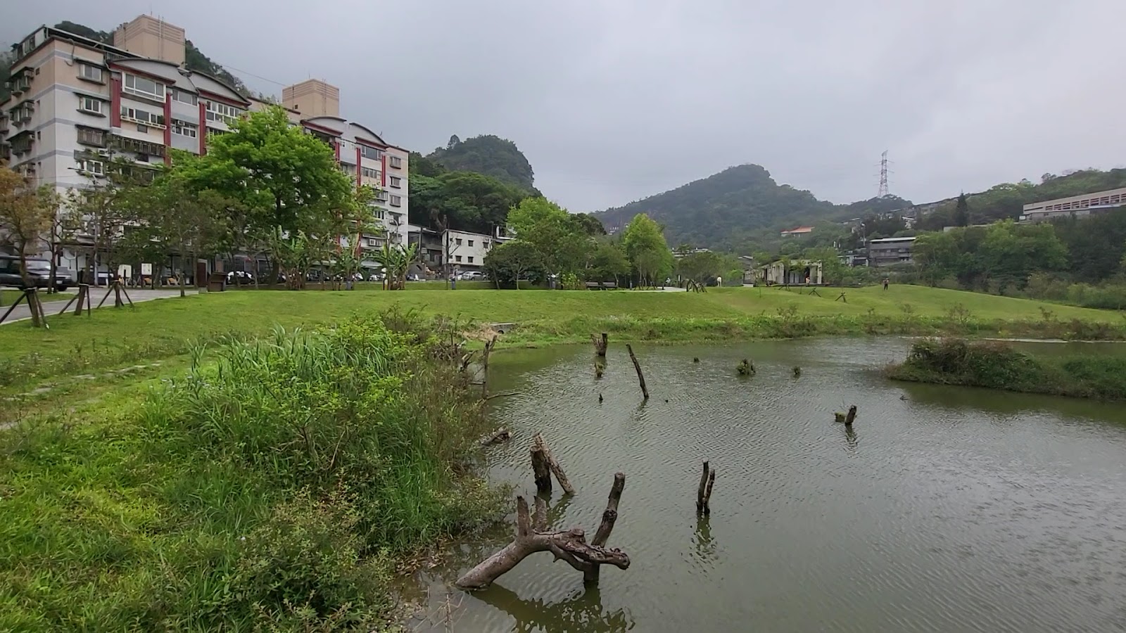 永春陂生態濕地公園池塘枯木樹樁與四獸山景觀