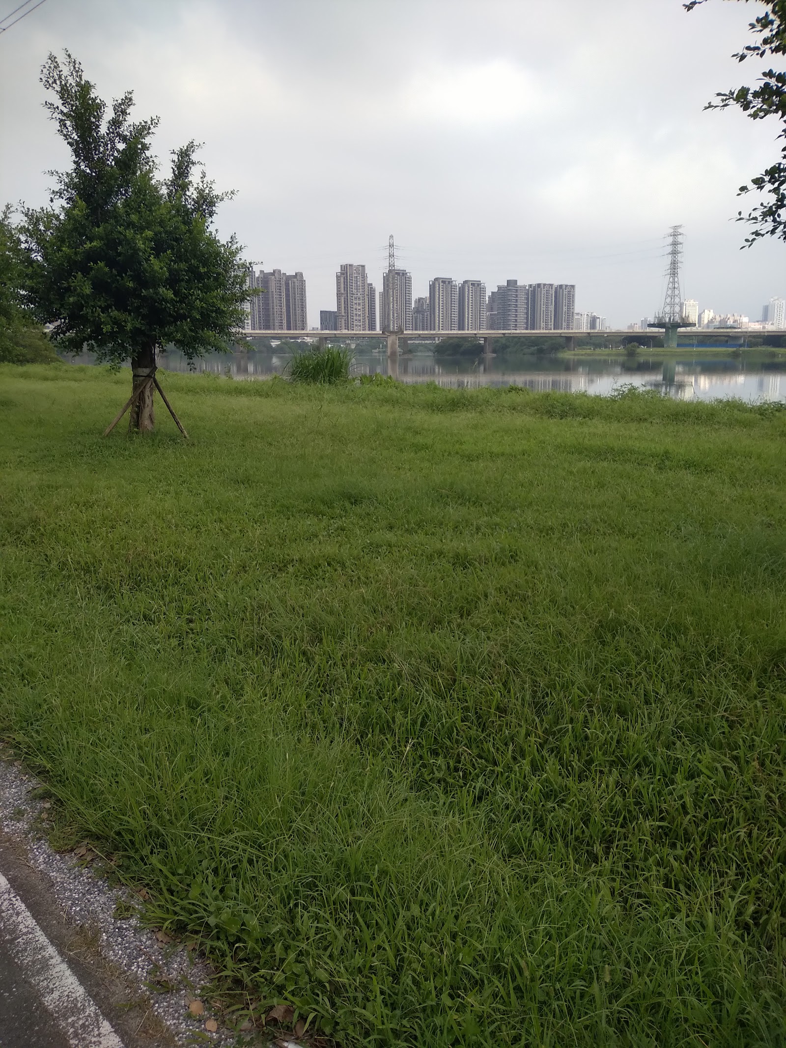永和綠寶石河濱公園大片草地與新店溪對岸天際線