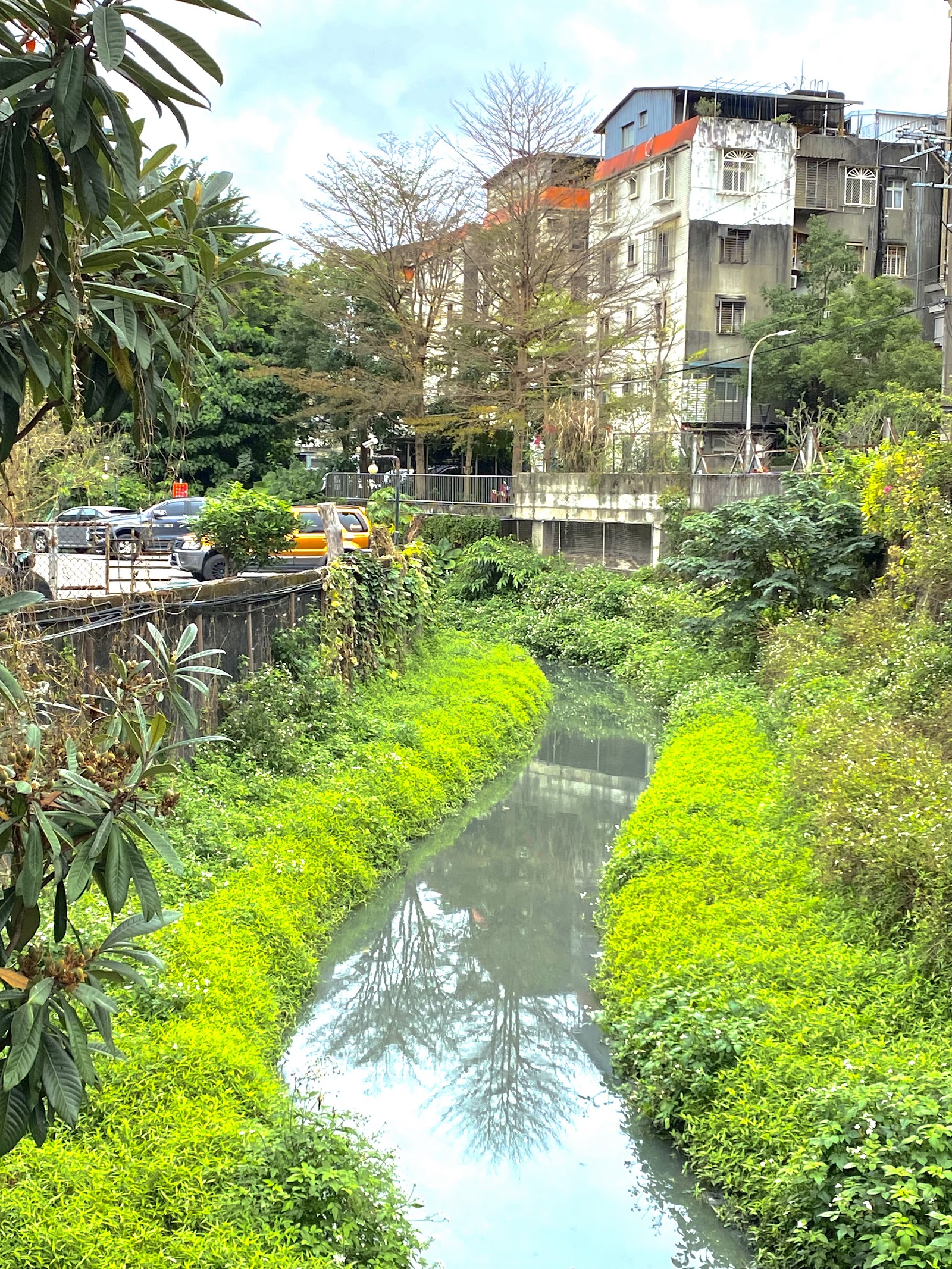 整治後的瓦磘溝,兩岸植栽茂密