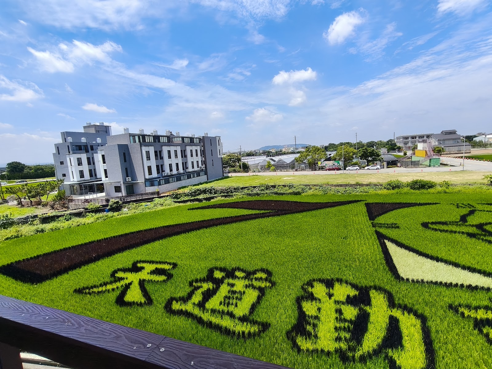 苑裡稻田彩繪地景藝術