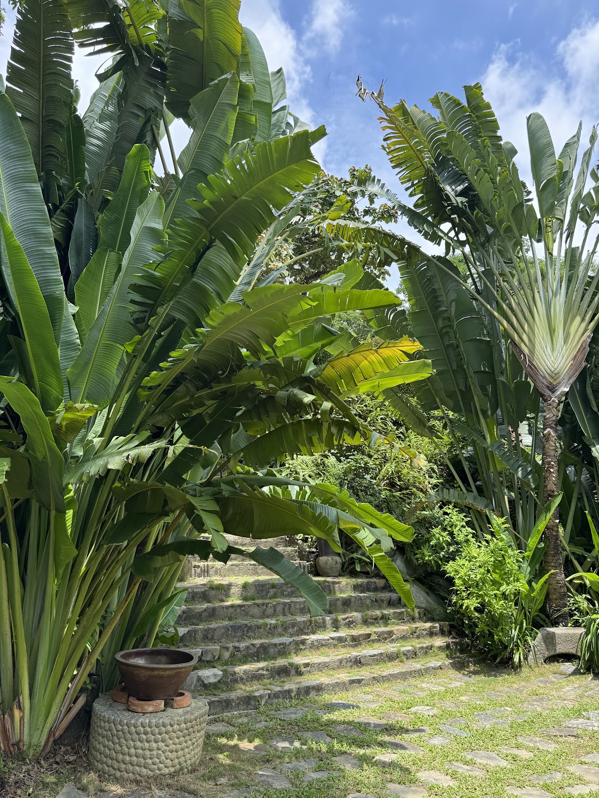 華陶窯庭園步道植栽與陶甕