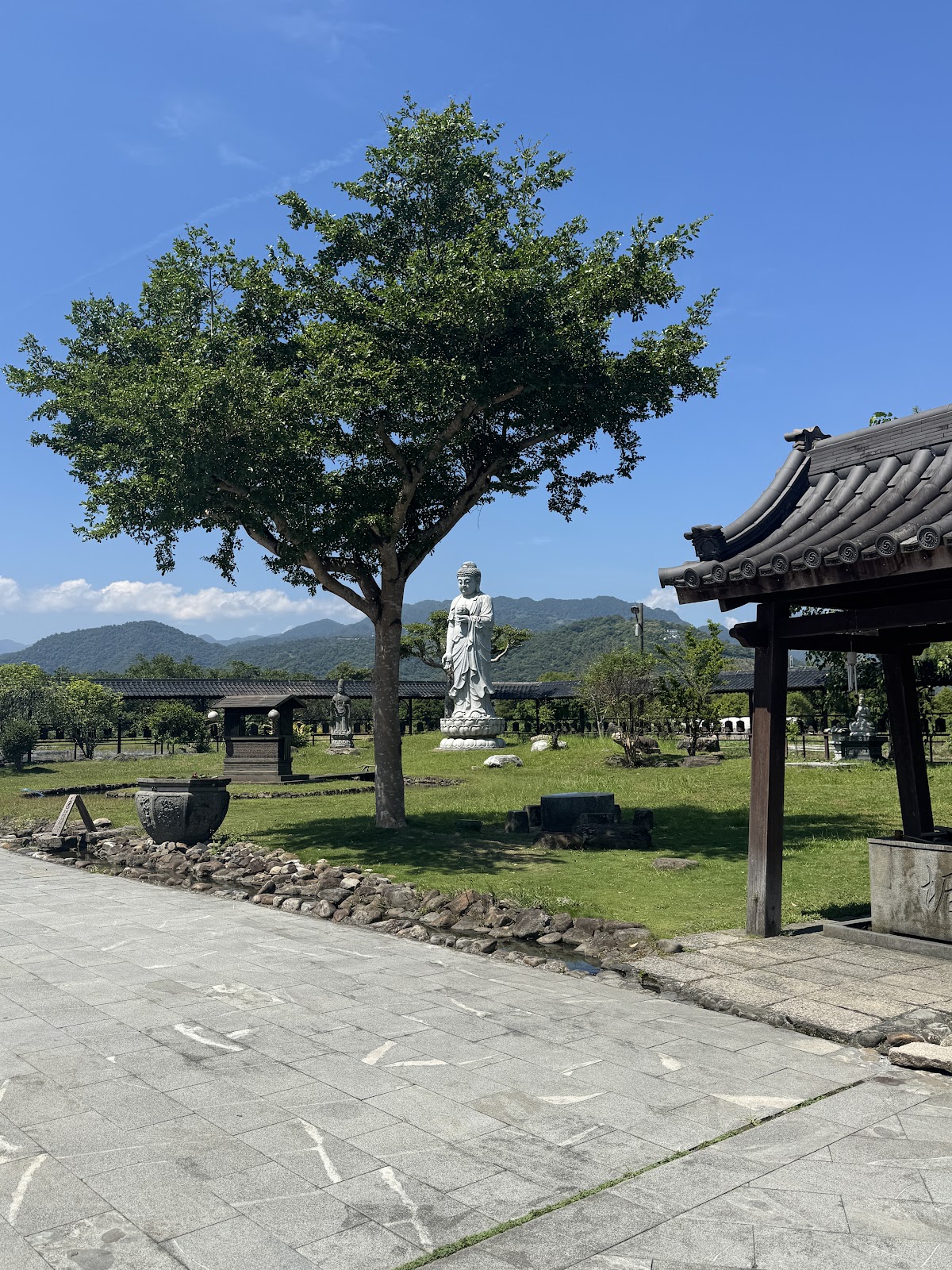 北后寺園區白色觀音石像與落羽松