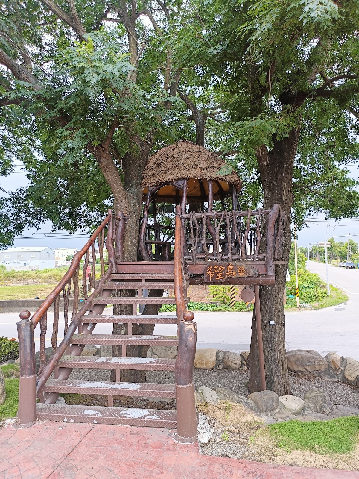 希望鳥巢樹屋地標，茅草屋頂木棧道