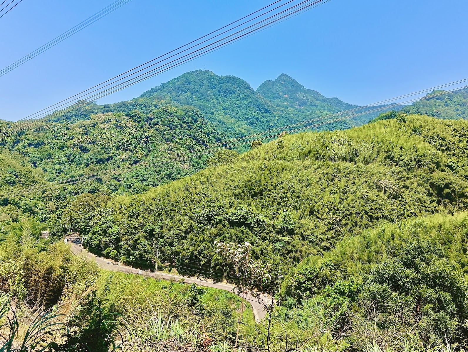 鐘樓古道俯瞰山巒疊翠與蜿蜒山路,桂竹林隨風搖曳(鐘樓古道)