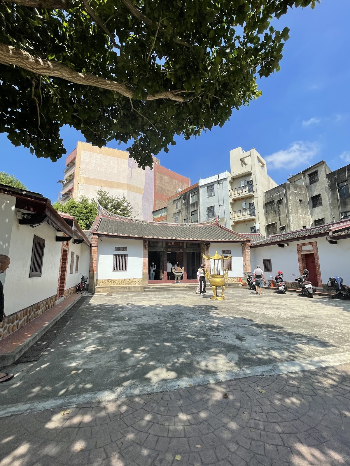 新社采田福地三合院庭院大樹遮蔭
