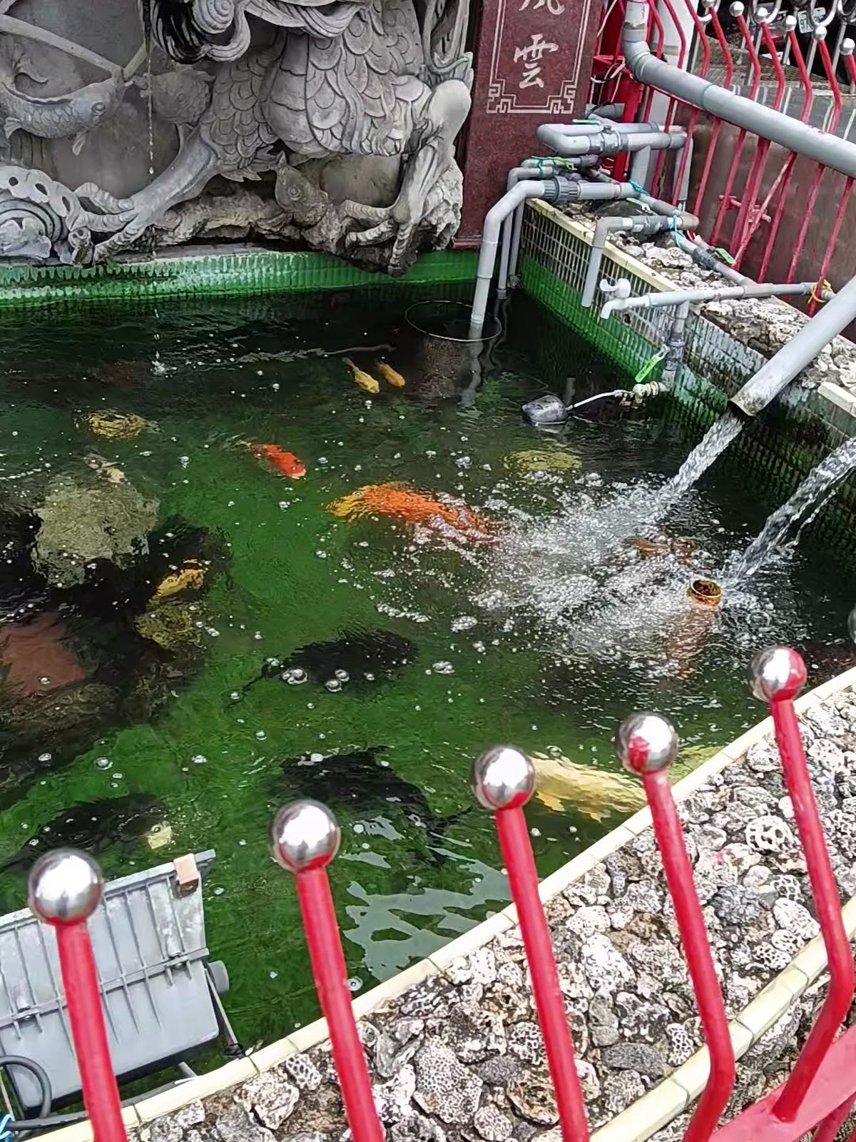 赤崁赤慈宮石龍頭造型水池錦鯉悠游